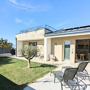 Agapanto , Pacengo Di Lazise Italien